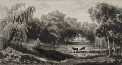 Bazén s jeleny, 1845. od Charles Francois Daubigny