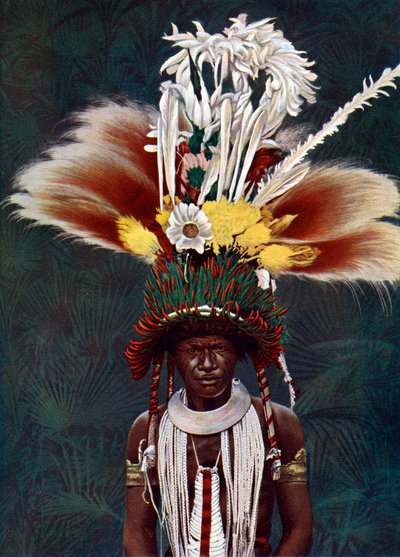 Náčelník Roro oblečený pro slavnostní tanec, Papua Nová Guinea, 1920. od Charles Gabriel Seligman
