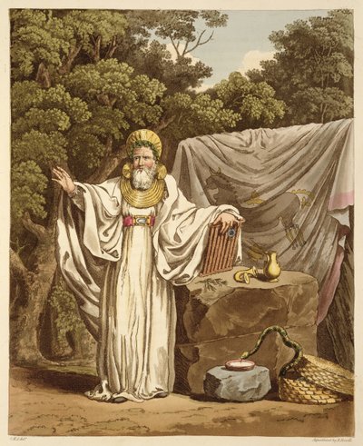 Arch Druid ve svém soudním zvyku, vyrytý Robertem Havellem (1769-1832) 1815 (akvatinta) od Charles Hamilton Smith
