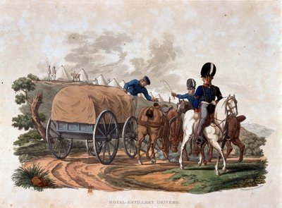 Royal Artillery Drivers, z 