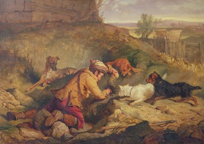 Neznámý obrázek od Charles Hancock