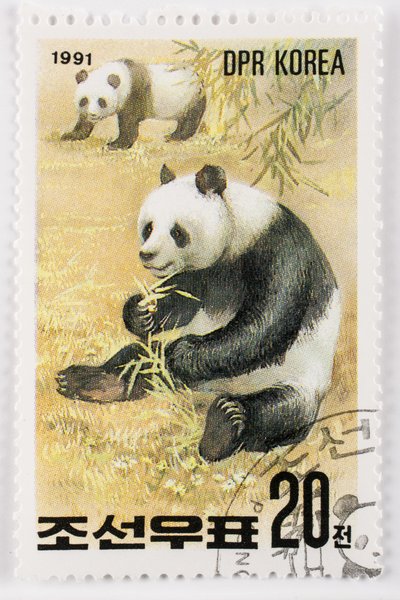 Známka/Severní Korea/Ailuropoda melanoleuca/Grand panda/Giant Panda od Augustus Kollner