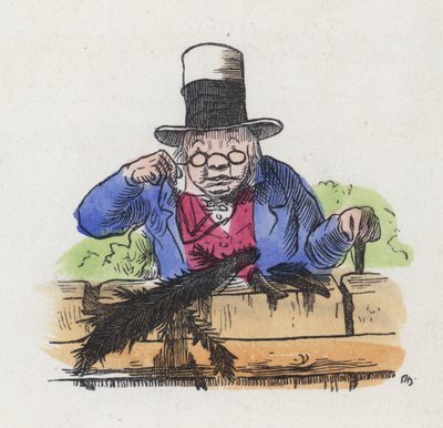 Zbytky dvou strak na zahradním plotě (barevné rytí) od Charles Henry (after) Bennett