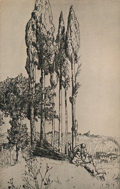 Cypřiše poblíž Sieny, 1903 od Charles Holroyd