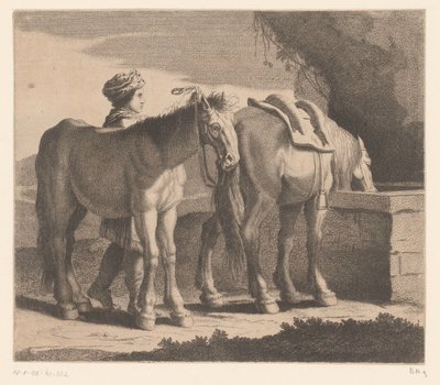 Pití koně Masete de Normandie (název na objektu) Zvířecí série (název série) od Charles II Errard (attributed to)