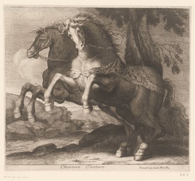 chov koní Chevaux Tartare (název na objektu) Zvířecí série (název série) od Charles II Errard (attributed to)
