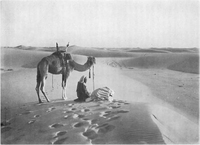 Modlitba západu slunce v poušti, c1913 od Charles J. S. Makin