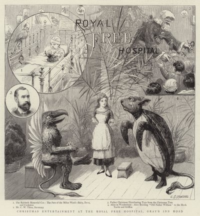 Vánoční zábava v Royal Free Hospital, Gray