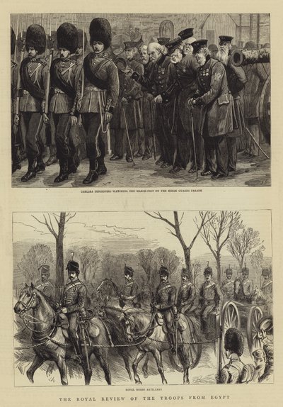Royal Review of the Troops from Egypt od Charles J. Staniland