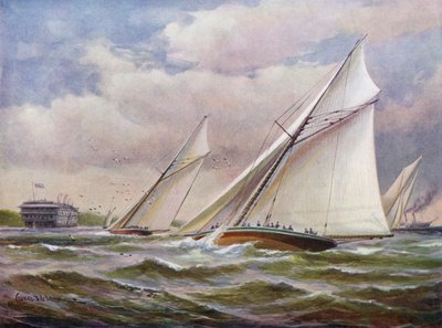 Bílá křídla od Charles John de Lacy
