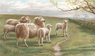 A Song of Spring (chromolitho) od Charles Jones