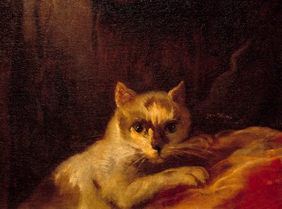 Mademoiselle de Charolais Detail představující kočku. Obraz od Charlese Josepha Natoire (Charles-Joseph Natoire od Charles Joseph Natoire