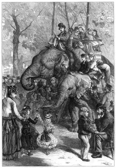 Pondělní odpoledne v zahradách zoologických společností, 1871. od Charles Joseph Staniland