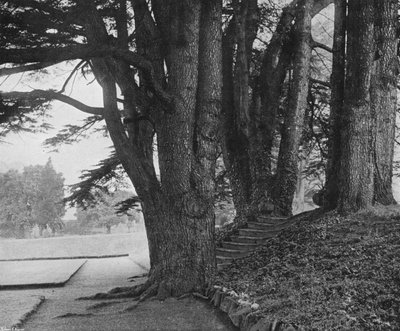 The Garden Steps (černobílá fotografie) od Charles Latham