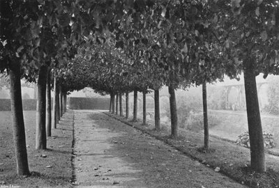 Pleached Walk (černobílá fotografie) od Charles Latham