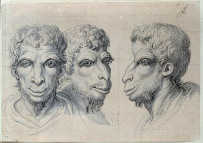 Závěsný od Charles Le Brun