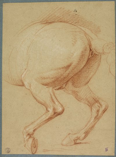 Zadní nohy koně od Charles Le Brun