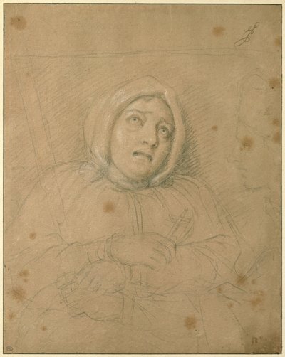 Markýza de Brinvilliers na cestě na smrt od Charles Le Brun