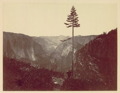 Yosemitské údolí z Mariposa Trail, c. 1865. od Charles Leander Weed