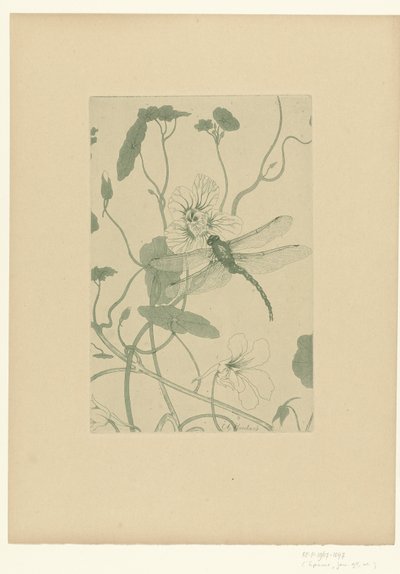 Vážka na květu lichořeřišnice Fleurs L