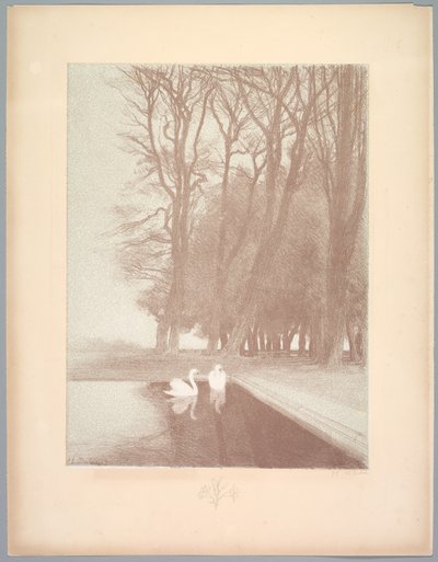 Suite of Landscapes: Landscape, Plate 6, Note, Lilie od Charles Marie Dulac