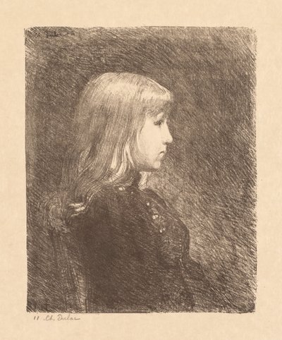 Mladá dáma Jeune Fille, 1892. od Charles Marie Dulac