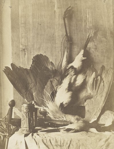 Game Still Life, c.1853-55 (tisk na albumenizovaném slaném papíře) od Charles Marville