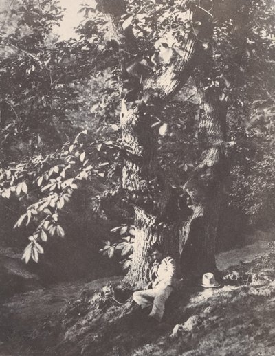 Muž ležící na úpatí kaštanu, 1850-53. od Charles Marville