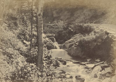 [Švýcarské údolí v St. Goarshausen] od Charles Marville