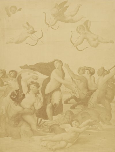 [Reprodukce Galatey od Raphaëla] od Charles Marville