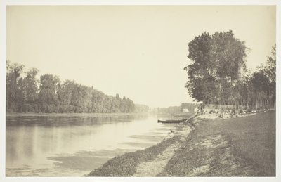 Bez názvu, c. 1850. [Stromy u vody v Bois de Boulogne, park v Paříži]. od Charles Marville