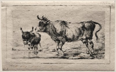 Kráva a osel, 1849. od Charles Meryon