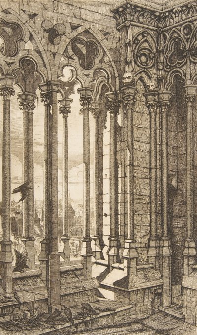 Galerie, katedrála Nôtre-Dame, Paříž, 1853. od Charles Meryon