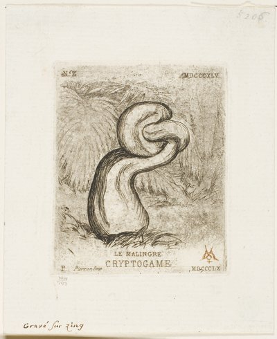 Sickly Cryptogam od Charles Meryon