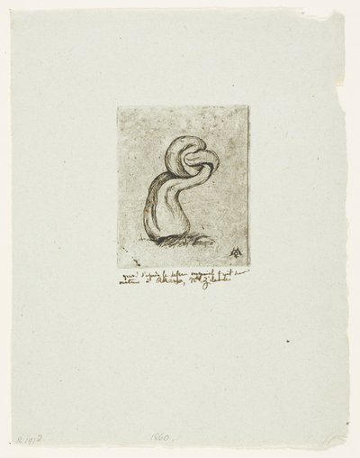 Sickly Cryptogam od Charles Meryon