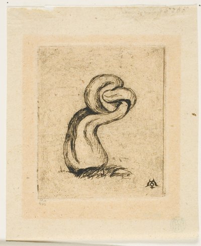 Sickly Cryptogam od Charles Meryon