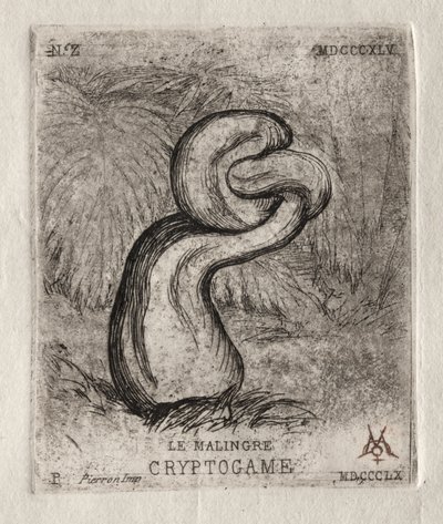 Sickly Cryptogam od Charles Meryon