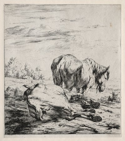 Dva koně, 1850. od Charles Meryon