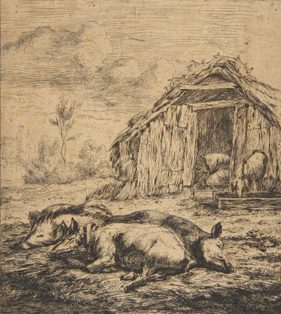 Tři prasata ležící před kůlnou, 1850. od Charles Meryon