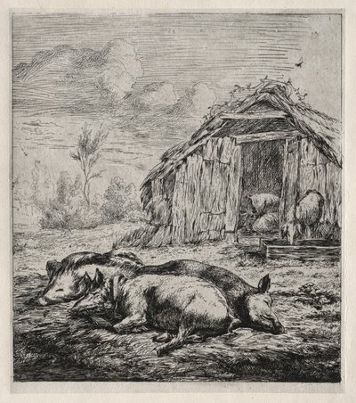 Tři svině ležící před chlívem, 1850. od Charles Meryon