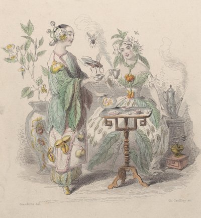 Čaj a káva, z Les Fleurs Animées, 1847. od Charles Michel Geoffroy