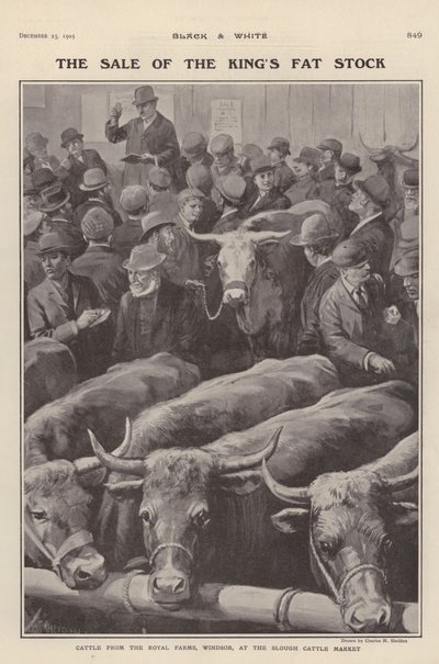 Dobytek z královských farem ve Windsoru na prodej na dobytčím trhu Slough, Berkshire (litho) od Charles Mills (after) Sheldon