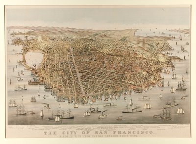 Město San Francisco - Pták od Charles Parsons
