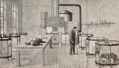Psi v klecích v laboratoři Louise Pasteura (1822-1895), francouzského chemika a biologa, Paříž, Francie, rytina z L