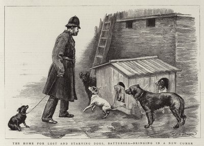 Domov pro ztracené a hladovějící psy, Battersea, přivádí nového přírůstka od Charles Paul Renouard