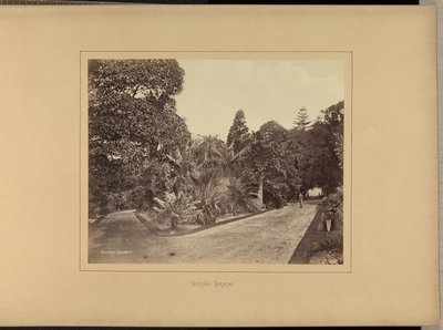 Botanické zahrady od Charles Percy Pickering