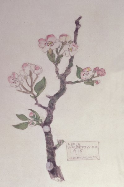 Apple, Walberswick, 1915 (tužka a wc) od Charles Rennie Mackintosh