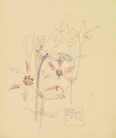 Ixias od Charles Rennie Mackintosh
