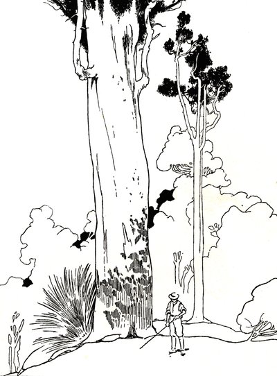 Strom Kauri, 1912 od Charles Robinson