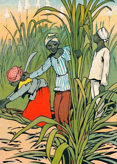 Při práci mezi cukrovou třtinou, 1912 od Charles Robinson